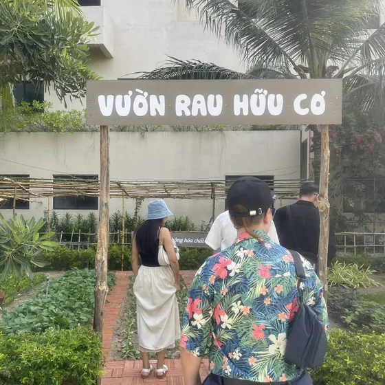 Vườn rau hữu cơ